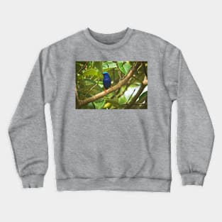 Cla blue bird Crewneck Sweatshirt